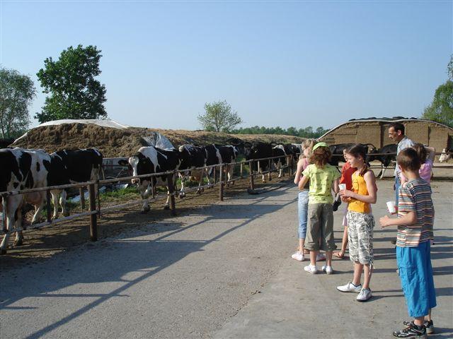 Boerderij 029.jpg